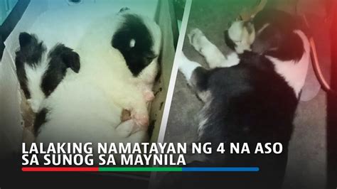 lalake kinantot ang aso|Lalaking namatayan ng 4 na aso sa sunog sa Maynila .